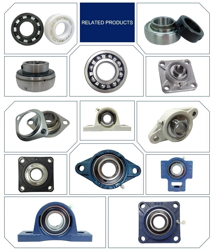 China Manufacture High Quality Sliding Bearing House Sn505-532 Series